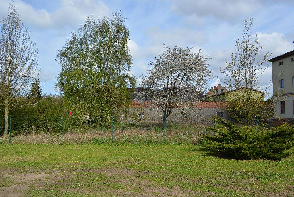 Thumbnail-Grundstück zu verkaufen in Maasdorf 20.000,00 € 1562 m²