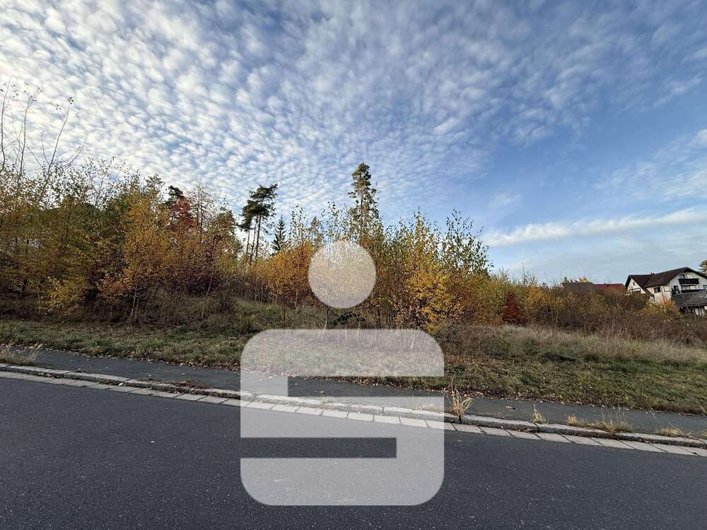 Thumbnail-Grundstück zu verkaufen in Selb 79.000,00 € 988 m²