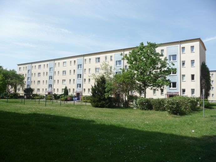 Thumbnail-Wohnung zum Mieten in Eberswalde 452,00 € 50.25 m²