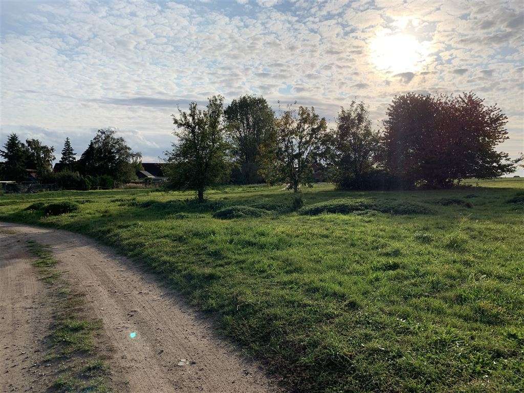 Thumbnail-Grundstück zu verkaufen in Insel Poel 250.000,00 € 1301 m²