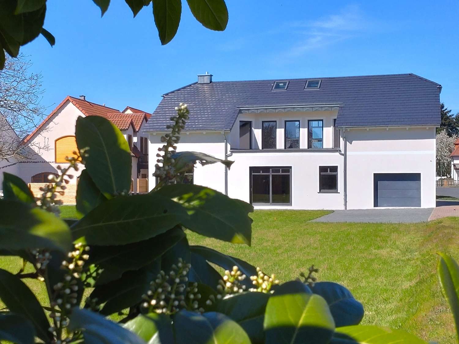 Thumbnail-Haus zum Kaufen in Doberschütz 459.000,00 € 255 m²