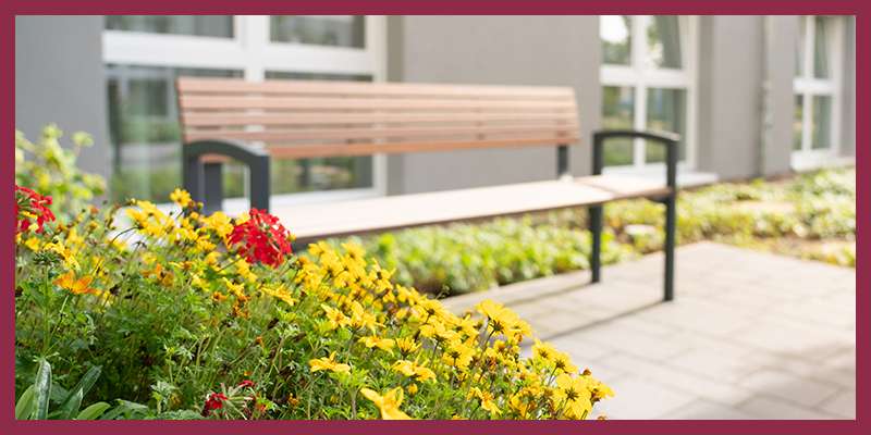 Thumbnail-Wohnung zum Kaufen in Greifswald 242.000,00 € 44 m²