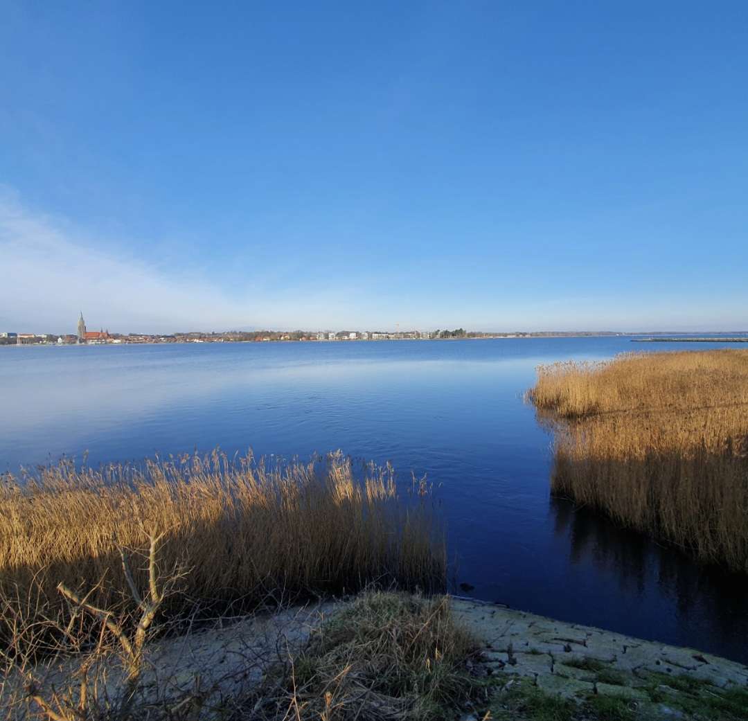 Thumbnail-Haus zum Kaufen in Fahrdorf 895.000,00 € 260 m²