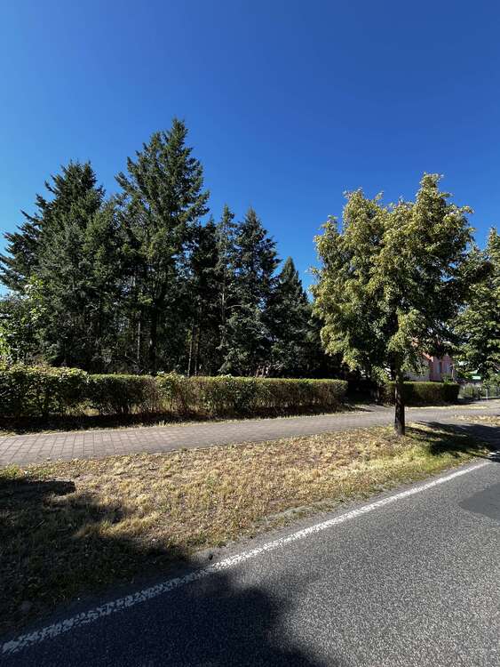 Thumbnail-Grundstück zu verkaufen in Groß Kreutz (OT Jeserig) 315.000,00 € 4042 m²