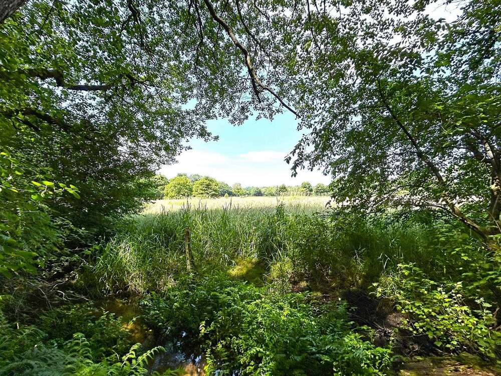 Thumbnail-Grundstück zu verkaufen in Jesteburg 498.000,00 € 4710 m²