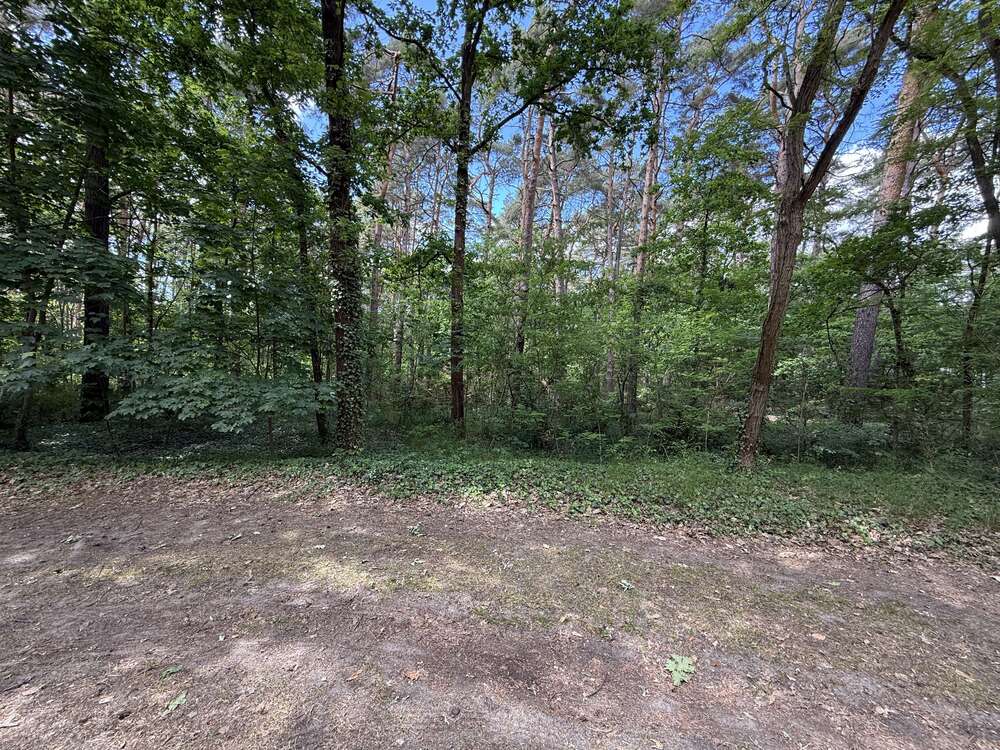 Thumbnail-Grundstück zu verkaufen in Bad Saarow 85.000,00 € 2869 m²