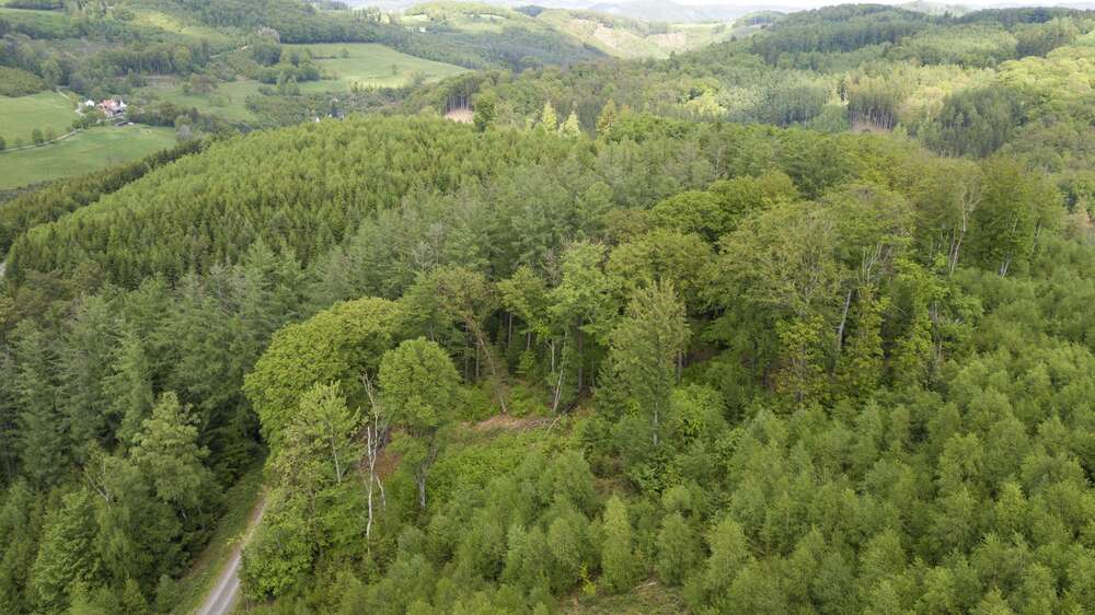 Thumbnail-Grundstück in Lüdenscheid 414.000,00 € 229370 m²