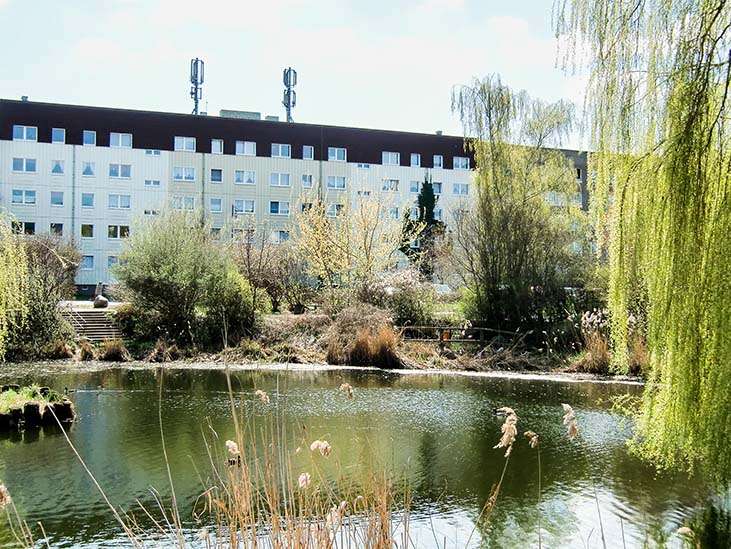 Thumbnail-Wohnung zum Mieten in Prenzlau 620,00 € 92.07 m²