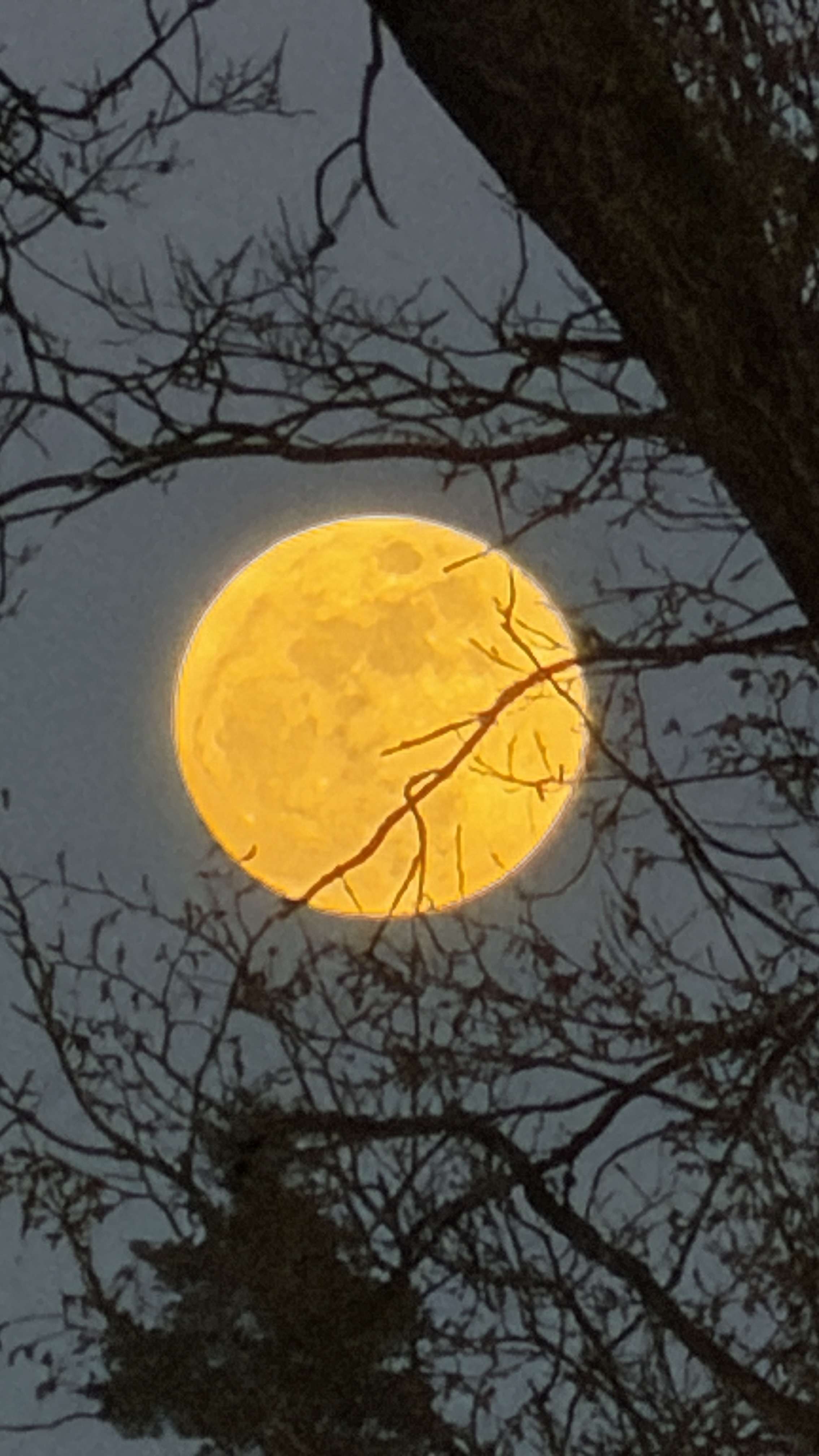 Thumbnail-Wohnung zum Mieten in Schwarzenbruck 990,00 € 90 m²