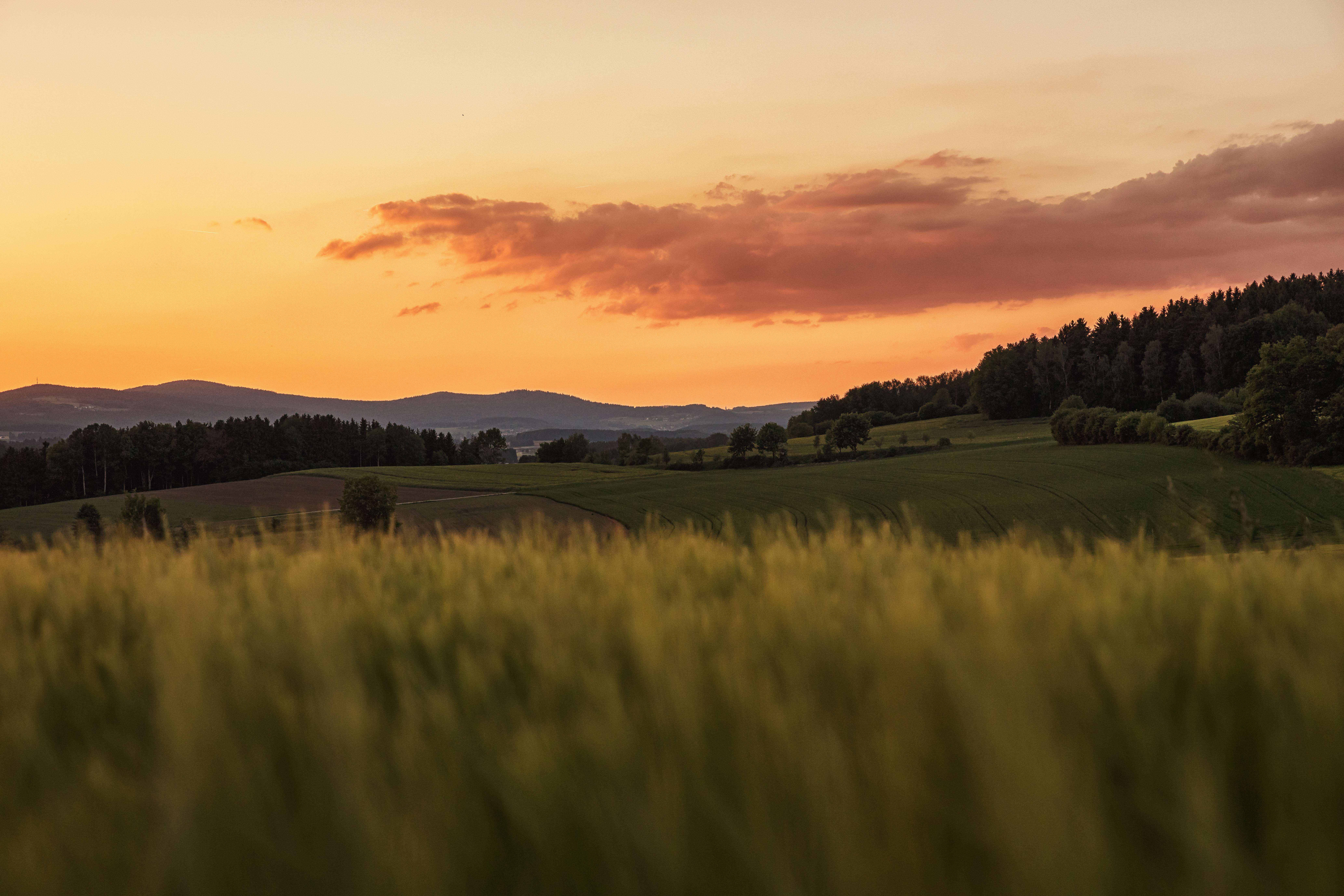 Thumbnail-Wohnung zum Kaufen in Weiden 405.000,00 € 75.46 m²