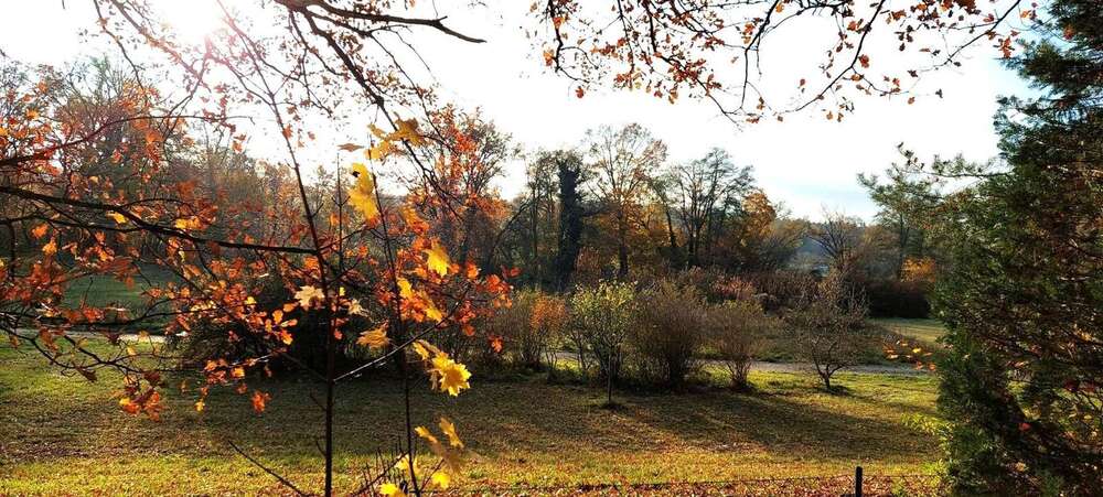 Thumbnail-Grundstück zu verkaufen in Nürnberg 299.000,00 € 296 m²