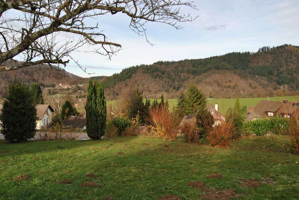 Thumbnail-Grundstück zu verkaufen in Badenweiler 275.000,00 € 560 m²