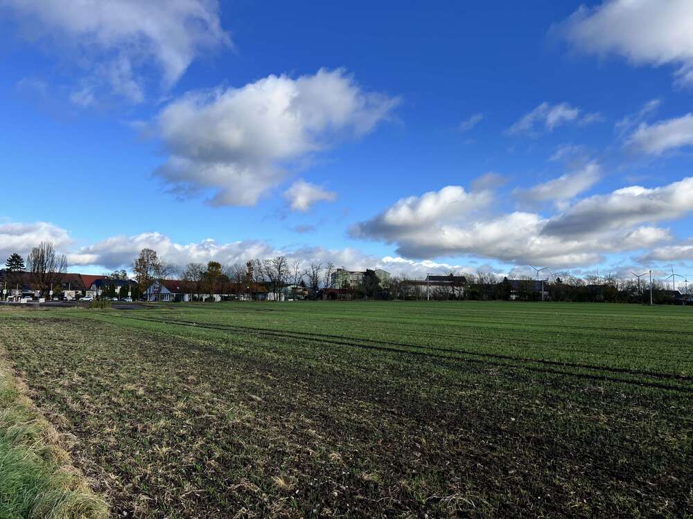 Thumbnail-Grundstück zu verkaufen in Erfurt 105.000,00 € 700 m²