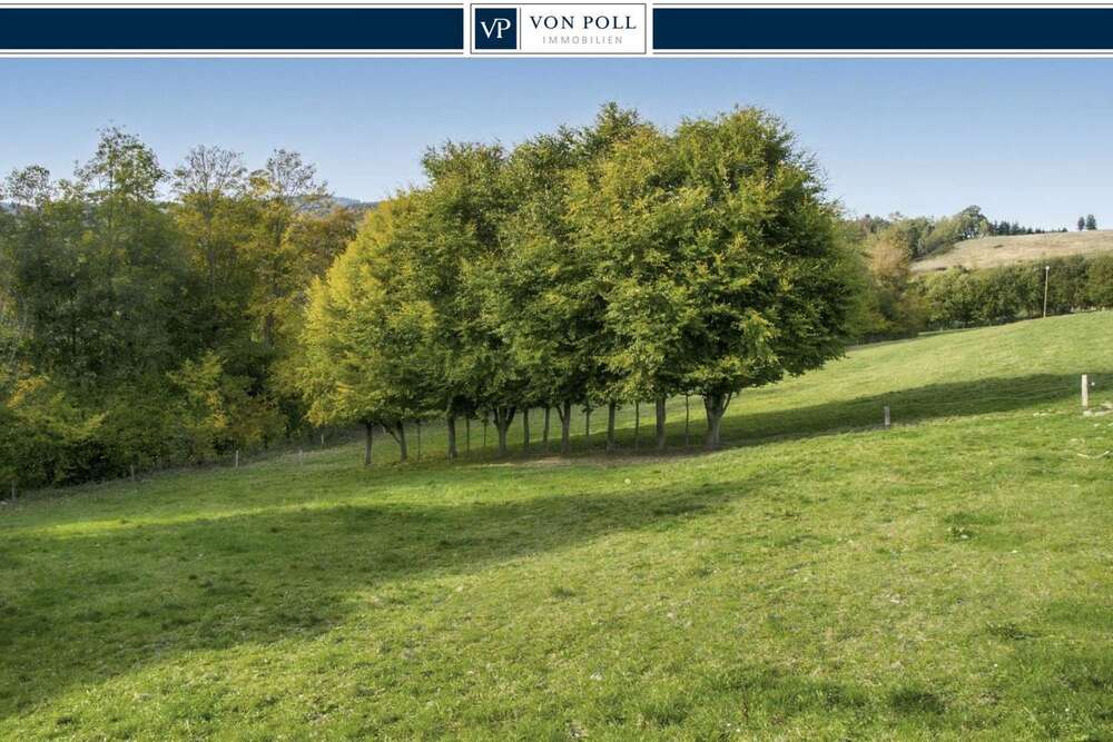 Thumbnail-Grundstück zu verkaufen in Olsberg Wiemeringhausen 63.000,00 € 1170 m²