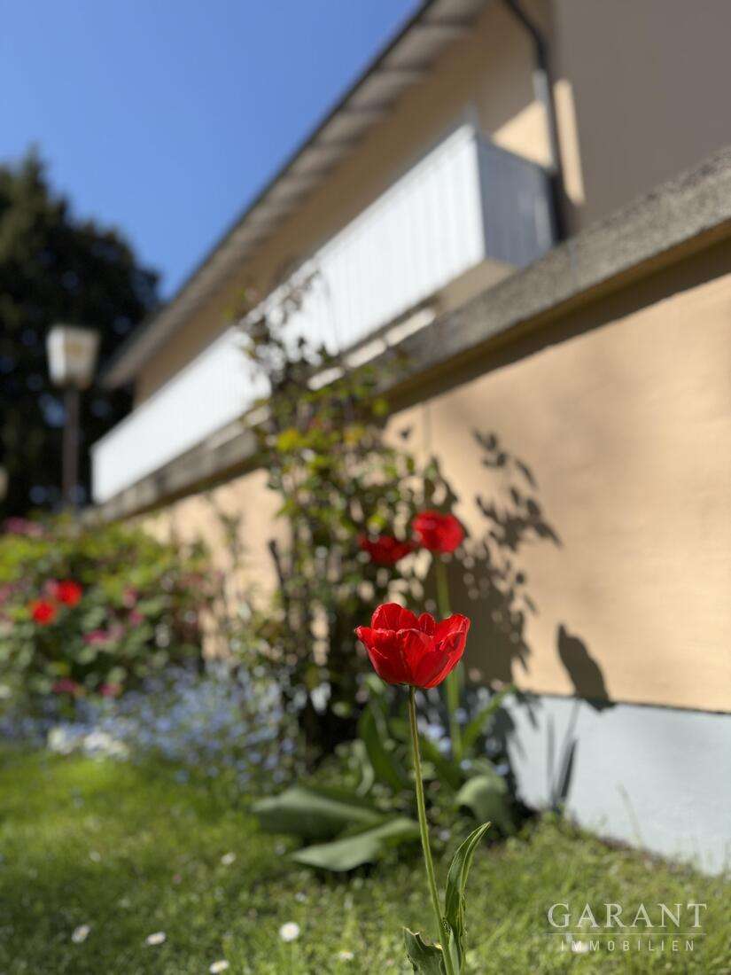 Thumbnail-Haus zum Kaufen in Trostberg 756.000,00 € 290 m²