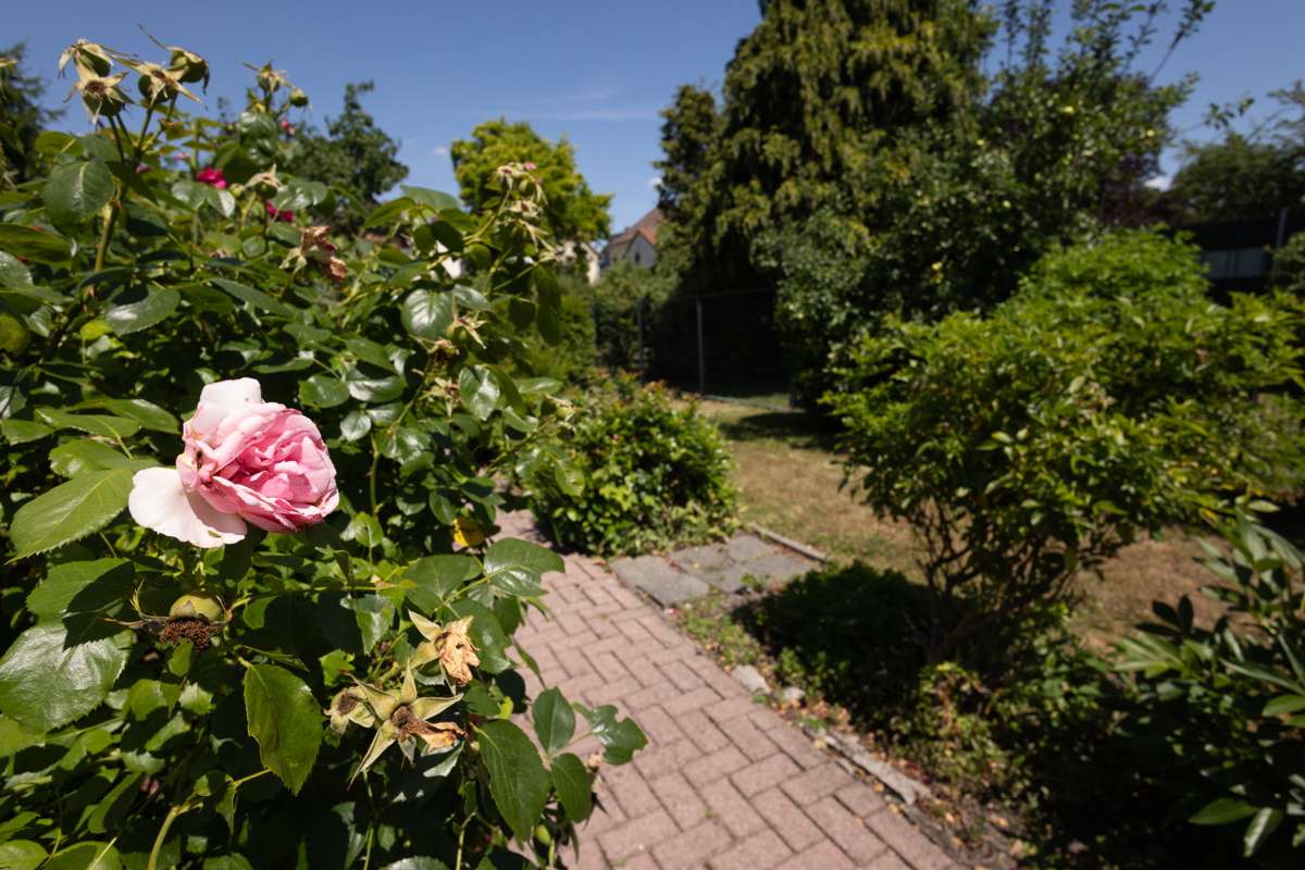 Thumbnail-Haus zum Kaufen in Ludwigshafen am Rhein Edigheim 410.000,00 € 156 m²