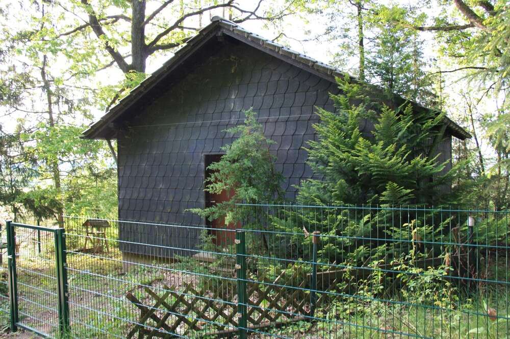 Thumbnail-Haus zum Kaufen in Schmelz 82.000,00 € 40 m²