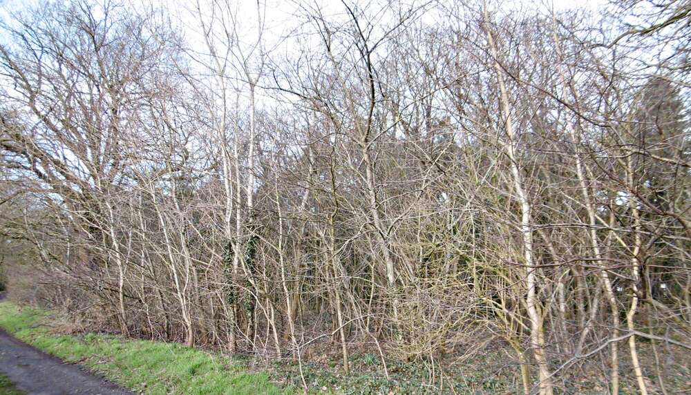 Thumbnail-Grundstück zu verkaufen in Bad Zwischenahn 111.000,00 € 3004 m²