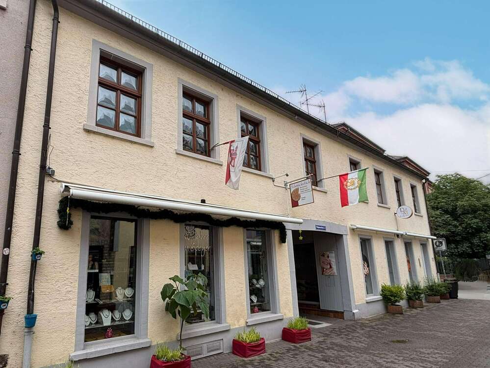Thumbnail-Haus zum Kaufen in Speyer 890.000,00 € 158 m²