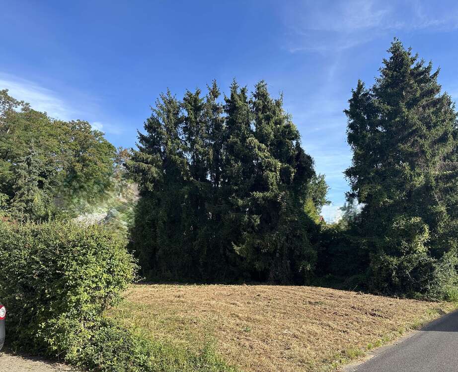 Thumbnail-Grundstück zu verkaufen in Langerwehe 235.000,00 € 863 m²