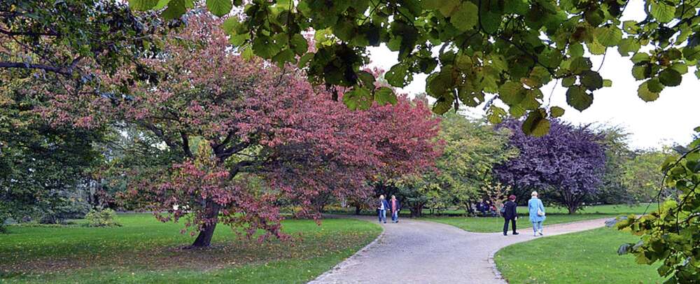 Thumbnail-Wohnung zum Kaufen in Berlin 659.000,00 € 146 m²