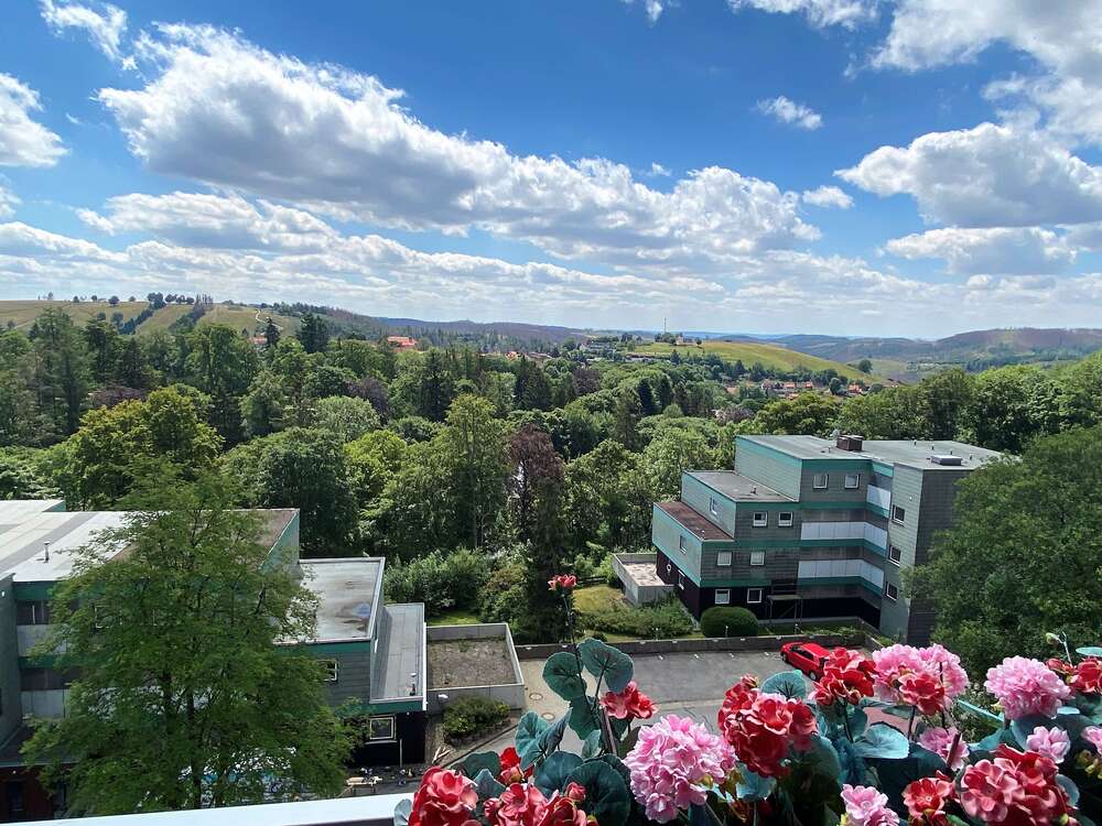 Thumbnail-Wohnung zum Kaufen in Sankt Andreasberg 45.000,00 € 53 m²