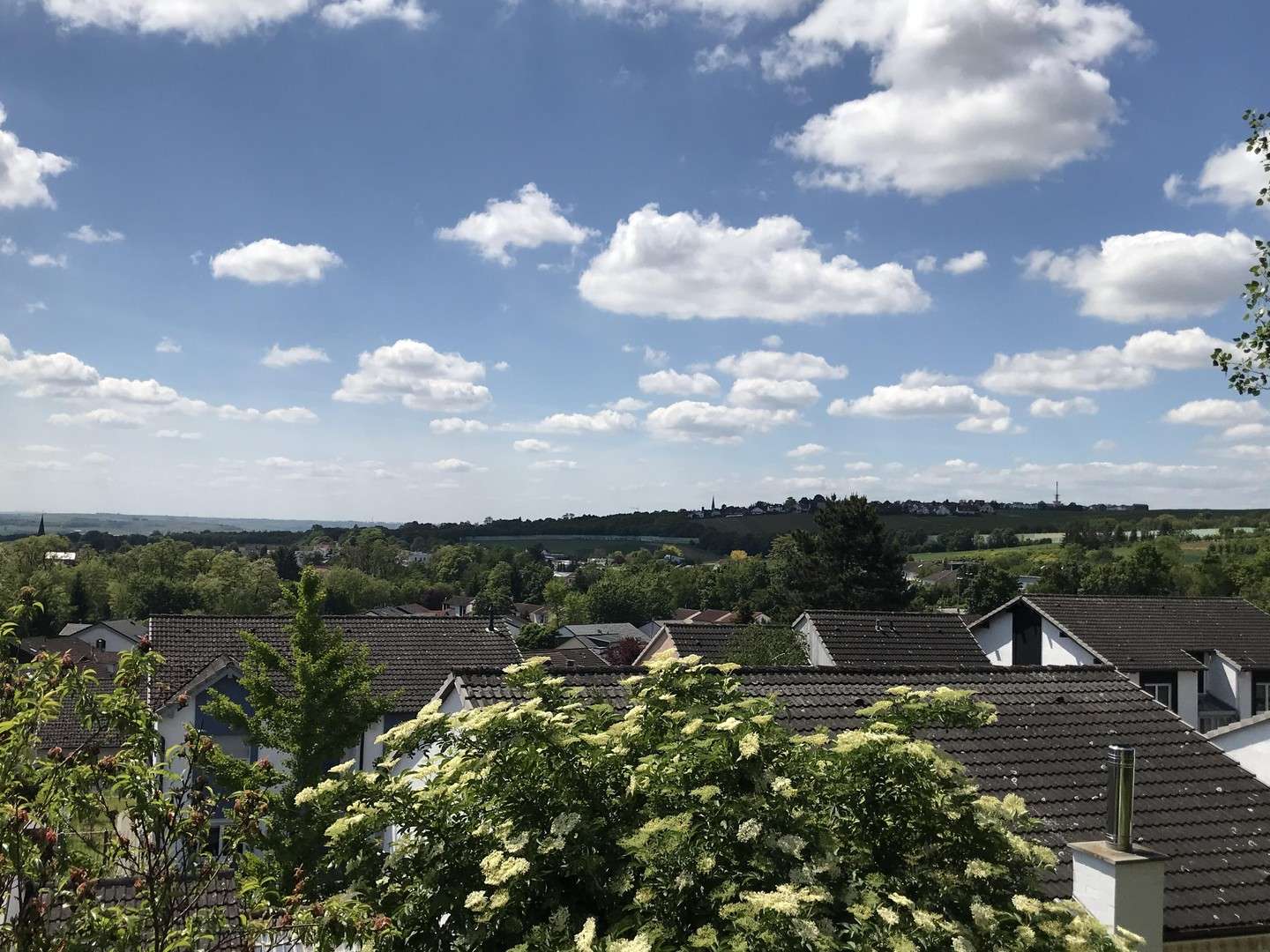 Thumbnail-Haus zum Kaufen in Klein-Winternheim 892.000,00 € 204 m²