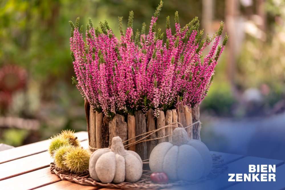 Thumbnail-Haus zum Kaufen in Löbau 469.675,00 € 131 m²