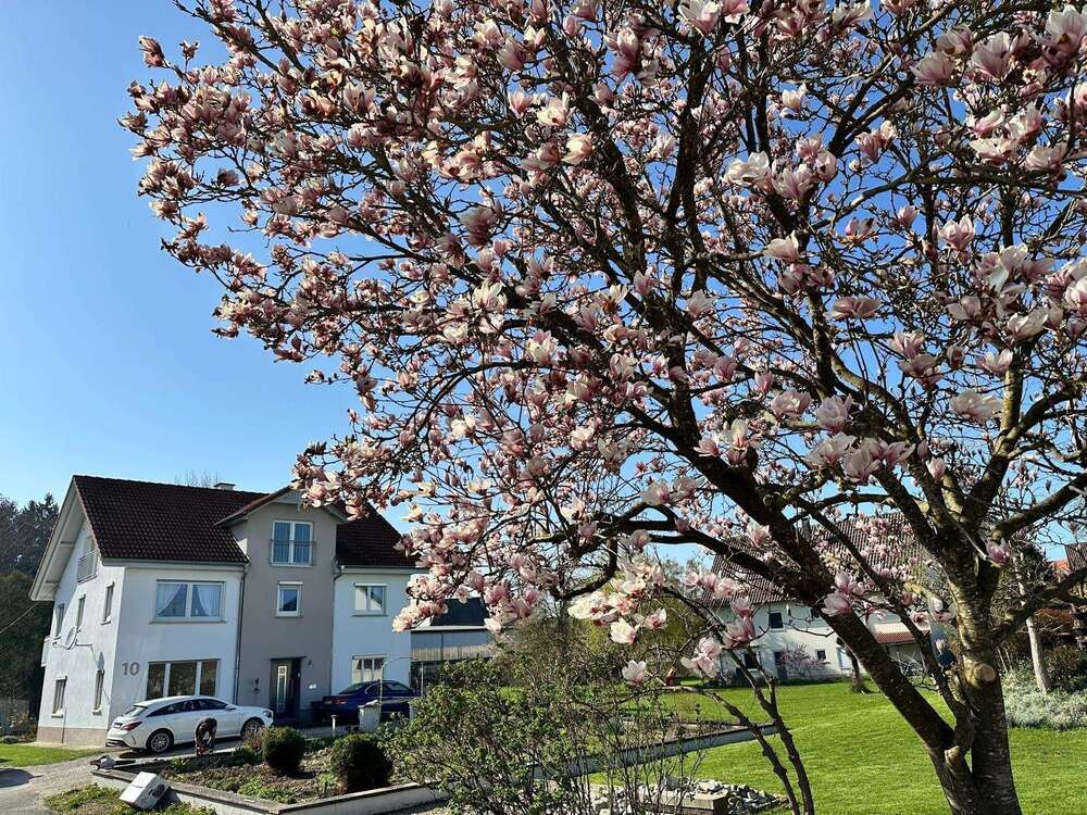 Thumbnail-Haus zum Kaufen in Schemmerhofen 448.000,00 € 266 m²