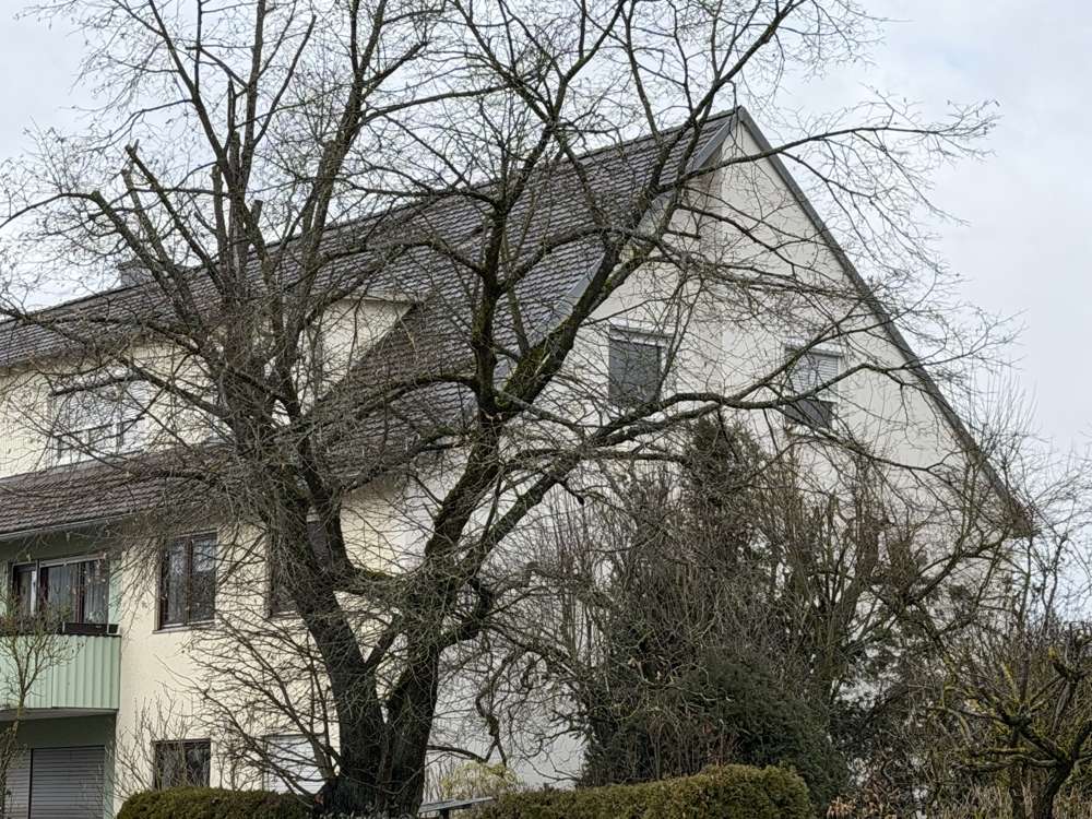 Thumbnail-Wohnung zum Kaufen in Regensburg 398.000,00 € 82.39 m²