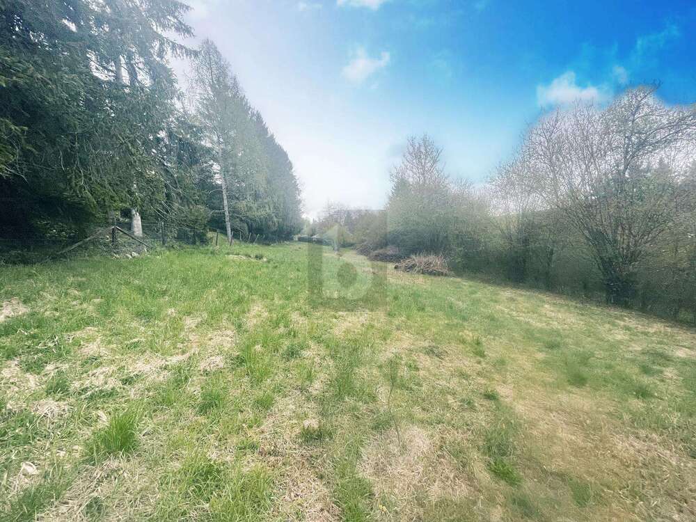 Thumbnail-Grundstück zu verkaufen in Calw 95.000,00 € 1605 m²