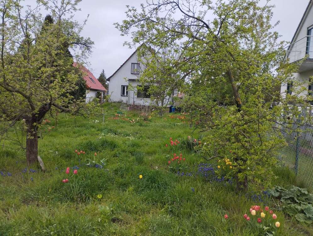 Thumbnail-Haus zum Kaufen in Berlin Mahlsdorf Nord 499.000,00 € 110 m²