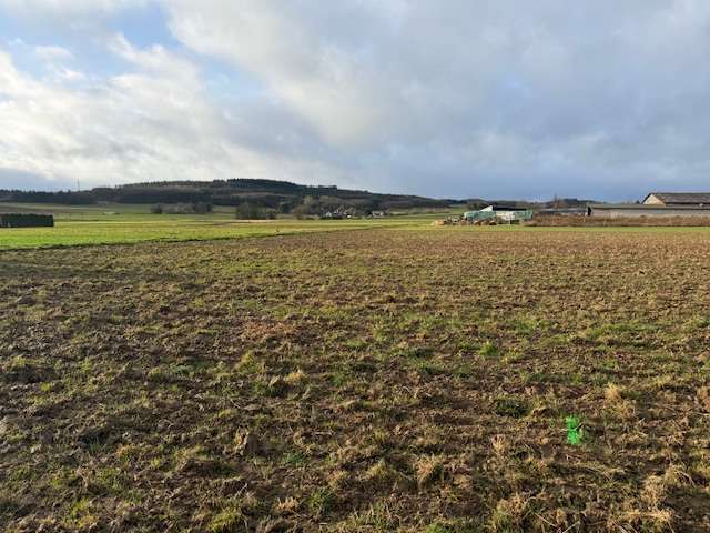 Thumbnail-Grundstück zu verkaufen in Grafschaft-Esch 138.800,00 € 883 m²