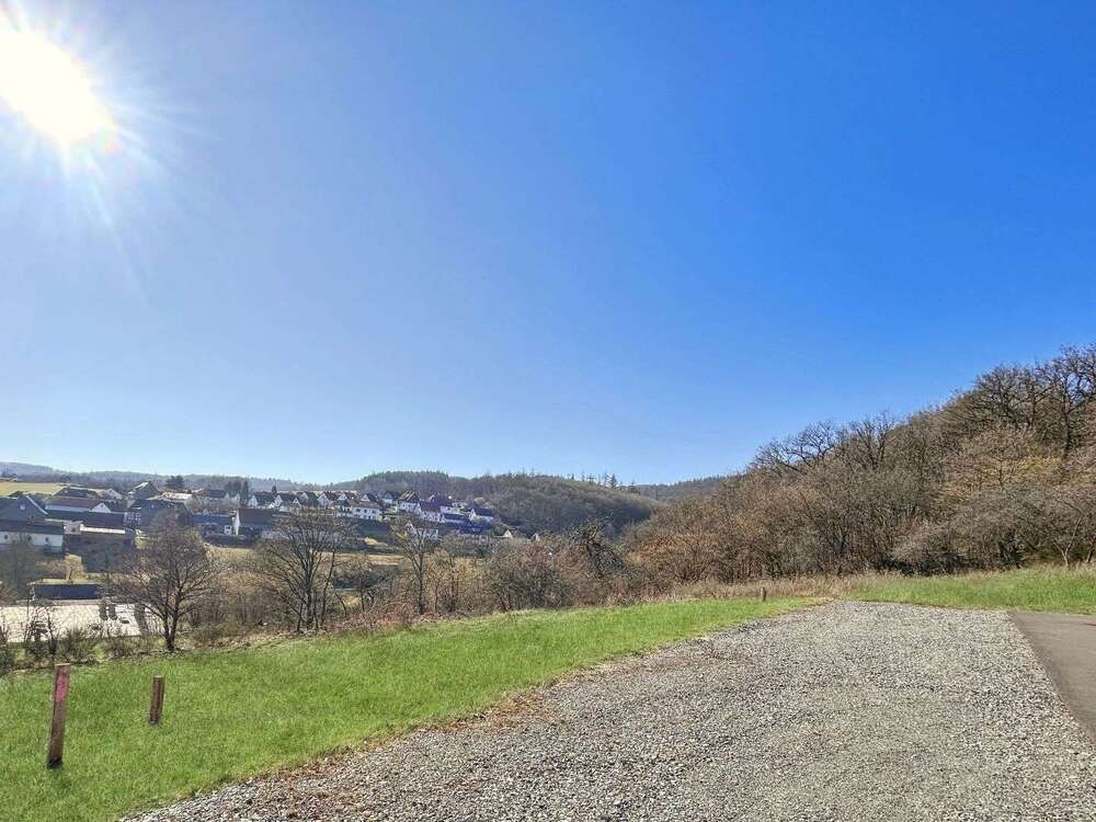 Thumbnail-Grundstück zu verkaufen in Battenberg 74.000,00 € 1038 m²