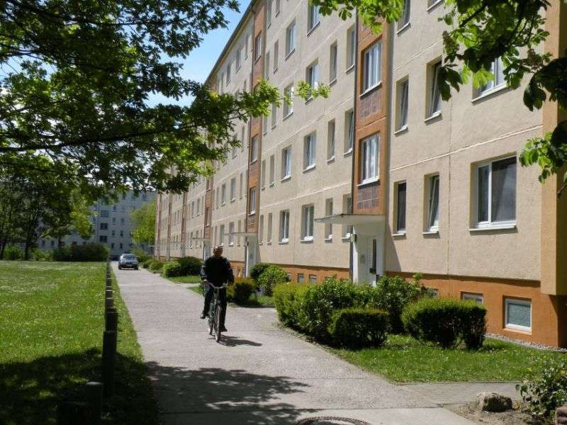 Thumbnail-Wohnung zum Mieten in Stralsund 288,64 € 43.08 m²