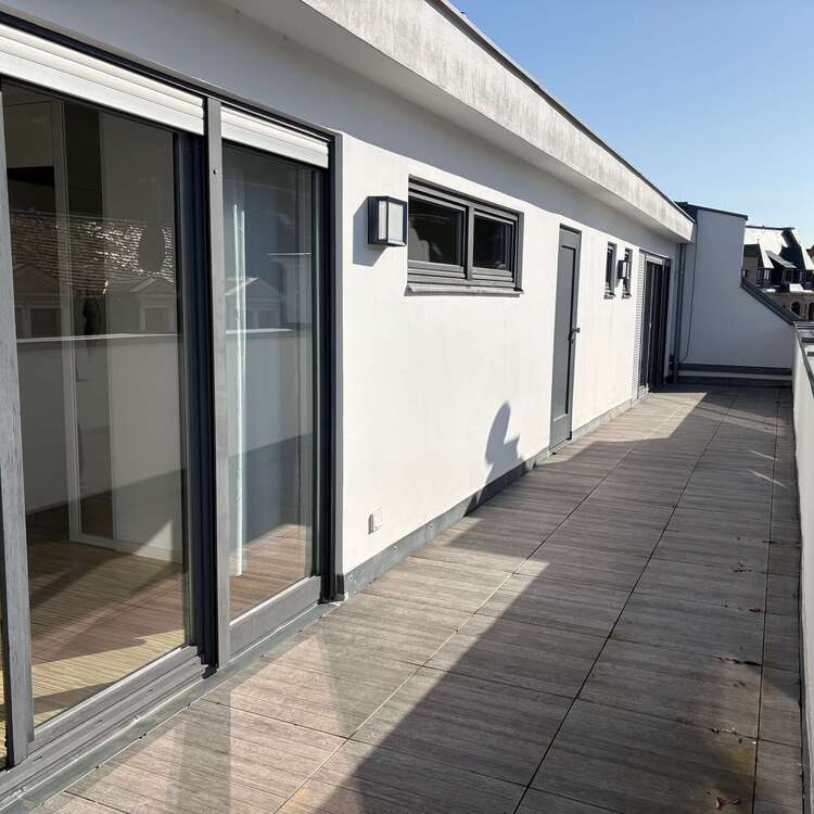 Thumbnail-Wohnung zum Mieten in Zwickau 2.400,00 € 360 m²