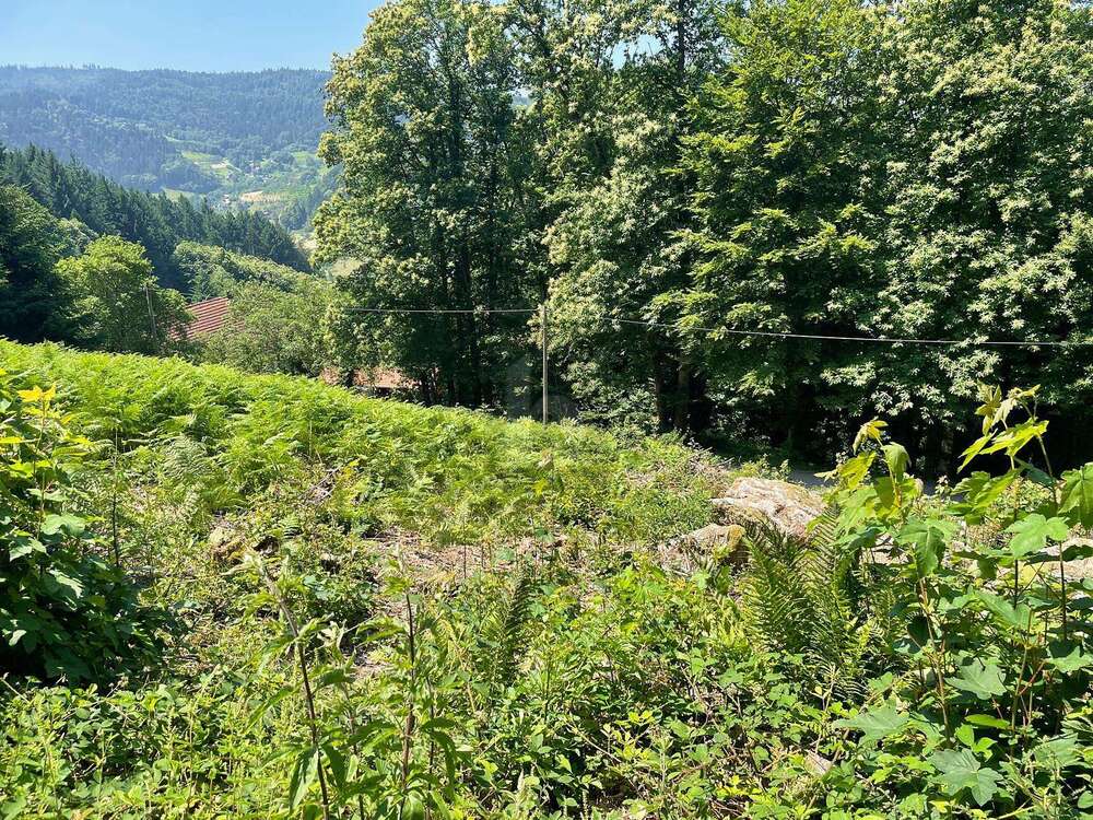 Thumbnail-Grundstück zu verkaufen in Ottenhöfen im Schwarzwald 135.000,00 € 1585 m²