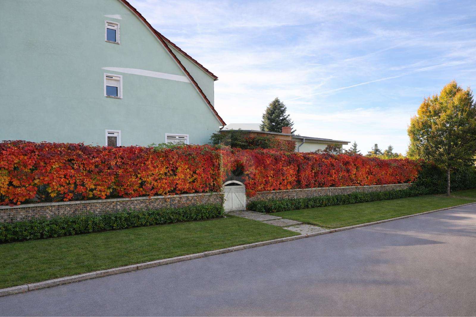 Thumbnail-Haus zum Kaufen in Templin 249.000,00 € 146 m²