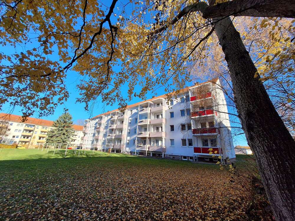 Thumbnail-Wohnung zum Mieten in Reichenbach 269,00 € 60 m²