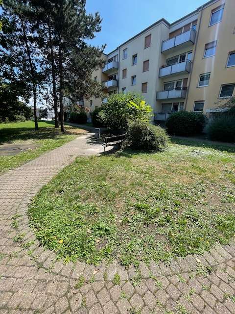 Thumbnail-Wohnung zum Mieten in Ludwigshafen am Rhein 580,00 € 40 m²