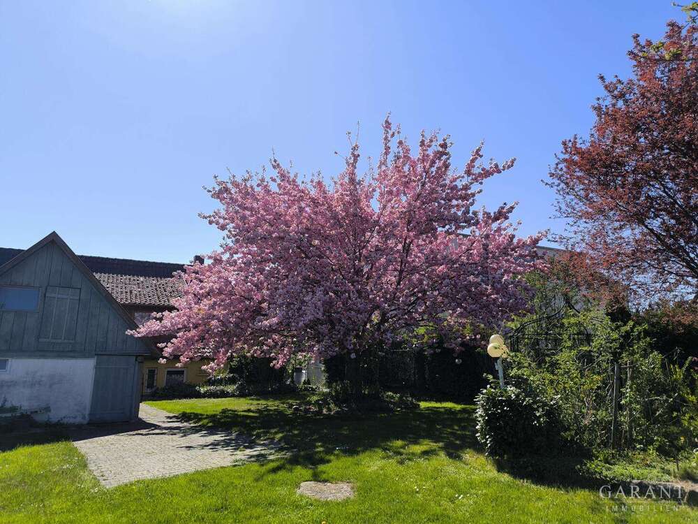 Thumbnail-Haus zum Kaufen in Empfingen 680.000,00 € 283 m²