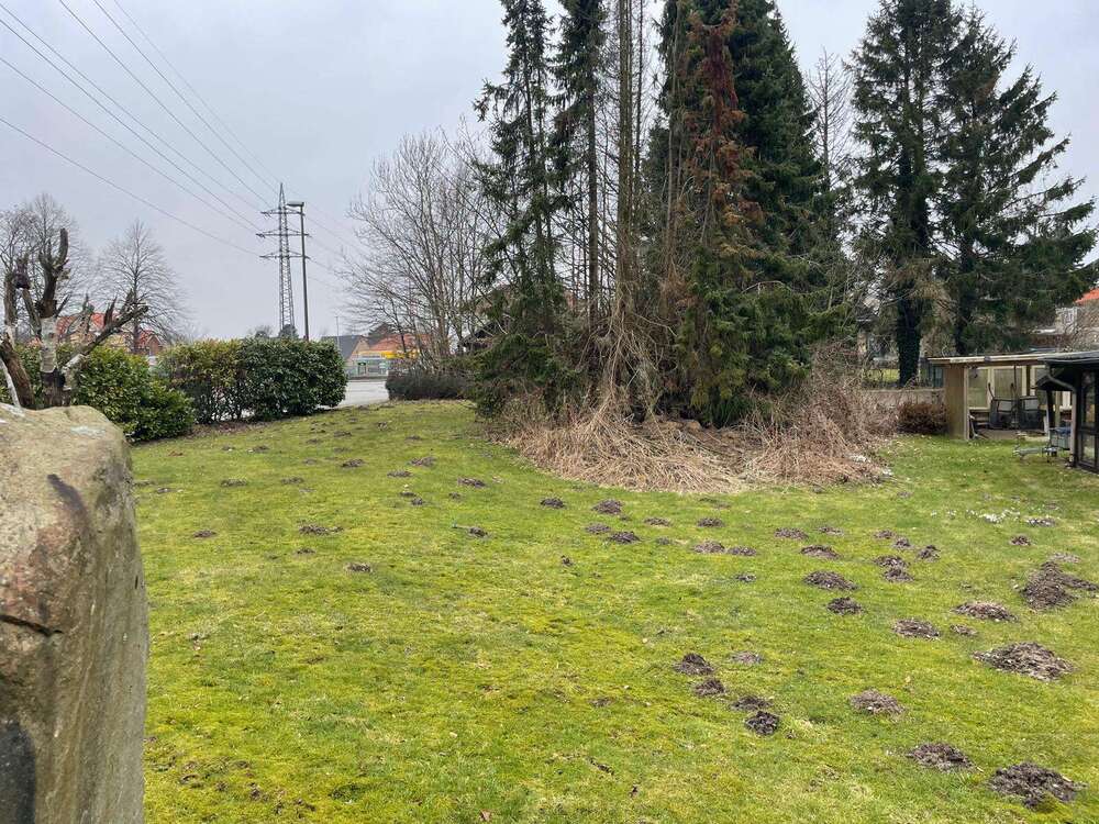 Thumbnail-Grundstück in Flensburg 280.000,00 € 1482 m²