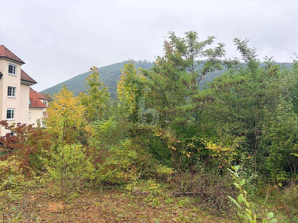 Thumbnail-Grundstück zu verkaufen in Badenweiler 350.000,00 € 1196 m²