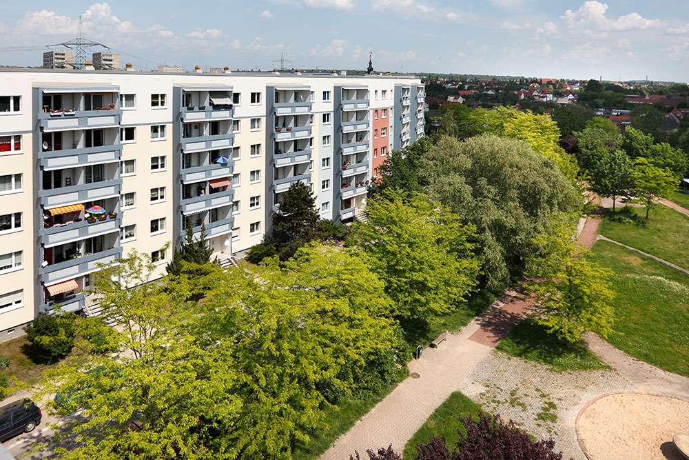 Thumbnail-Wohnung zum Mieten in Halle (Saale) 390,54 € 65.09 m²
