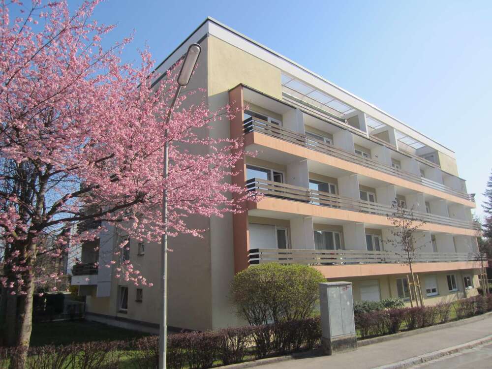 Thumbnail-Wohnung zum Mieten in München 660,00 € 28 m²