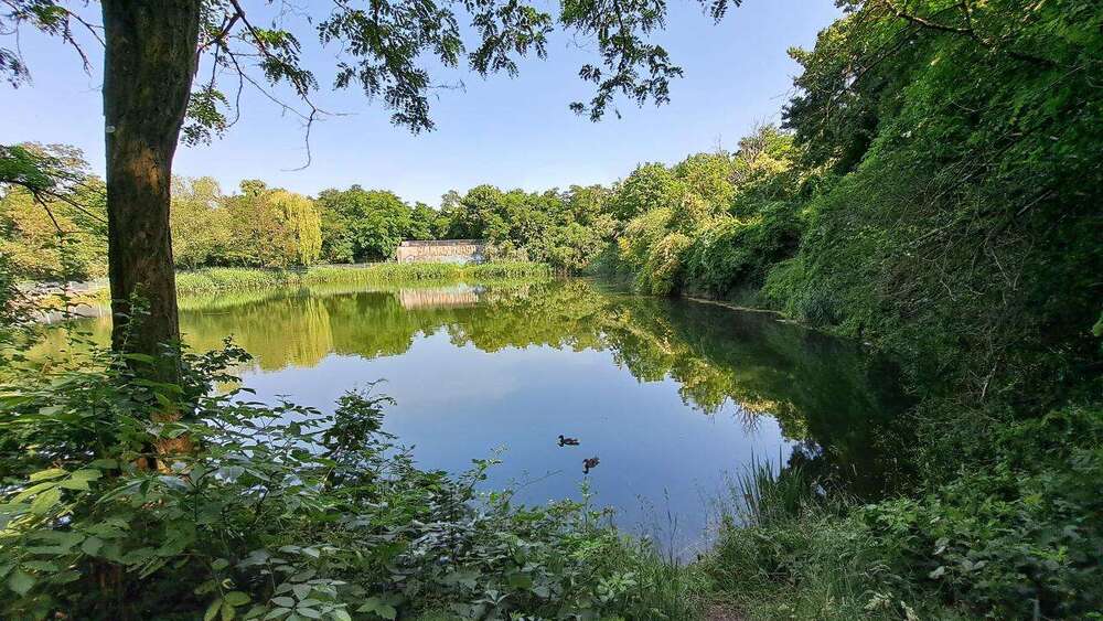 Thumbnail-Wohnung zum Mieten in Magdeburg 528,52 € 89.58 m²