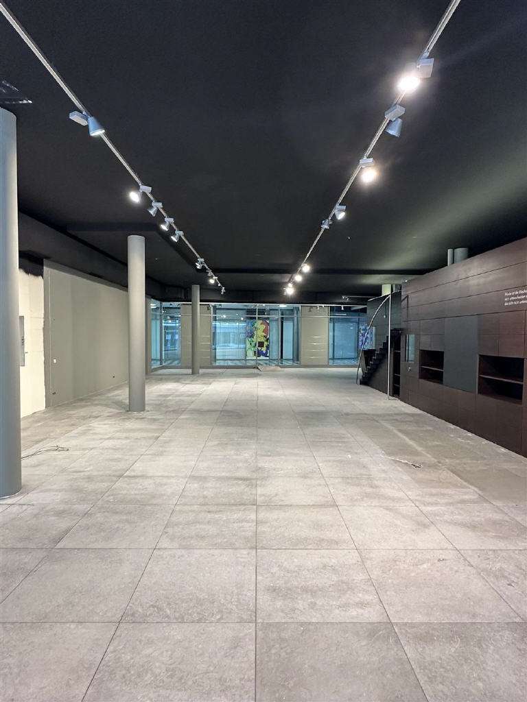 Thumbnail-Einzelhandel in Singen (Hohentwiel) 4.600,00 € 526.85 m²