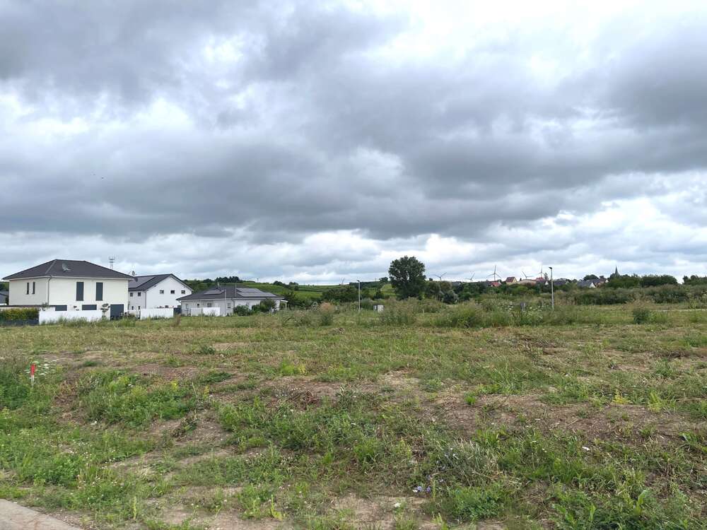 Thumbnail-Grundstück zu verkaufen in Hillesheim 154.660,00 € 407 m²