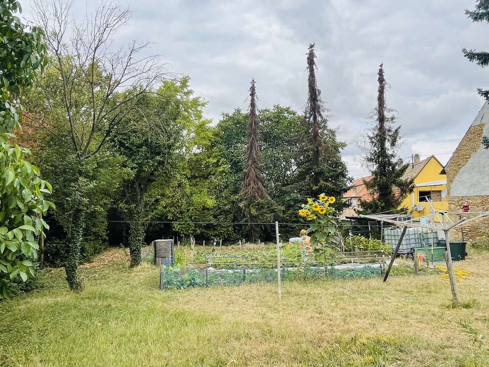 Thumbnail-Grundstück zu verkaufen in Hillesheim 230.000,00 € 1202 m²