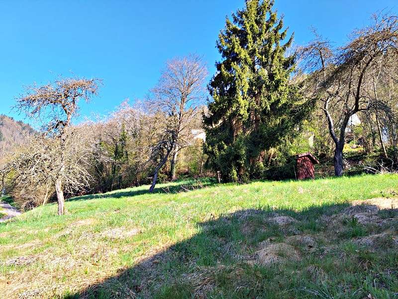 Thumbnail-Grundstück zu verkaufen in Calw-Hirsau 173.000,00 € 1240 m²